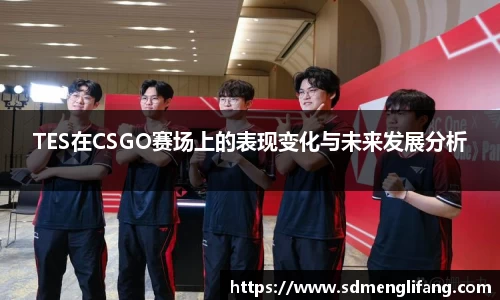 TES在CSGO赛场上的表现变化与未来发展分析