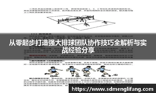 从零起步打造强大排球团队协作技巧全解析与实战经验分享