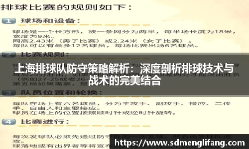 上海排球队防守策略解析：深度剖析排球技术与战术的完美结合
