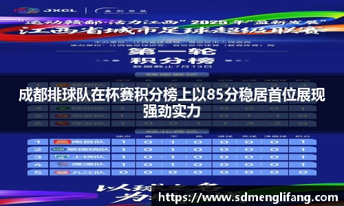 成都排球队在杯赛积分榜上以85分稳居首位展现强劲实力